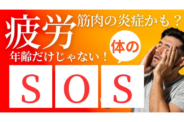 【医療コラム】「疲れが取れない」は筋肉の炎症かもしれない。エビデンスで読み解く“慢性疲労”の正体